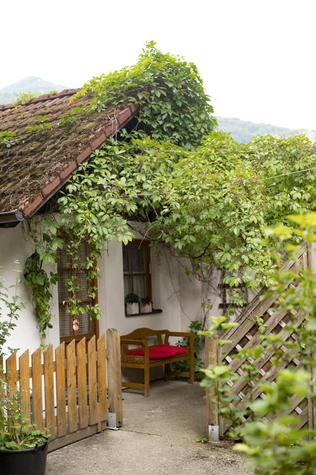 Hotel Steinschalerhof Warth  Exteriér fotografie