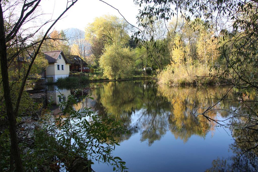 Hotel Steinschalerhof Warth  Exteriér fotografie